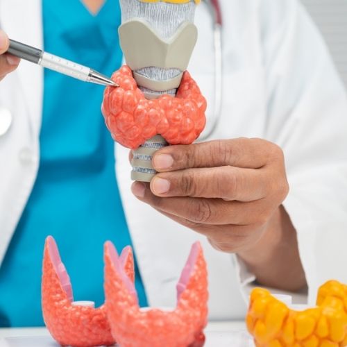 Thyroid Package